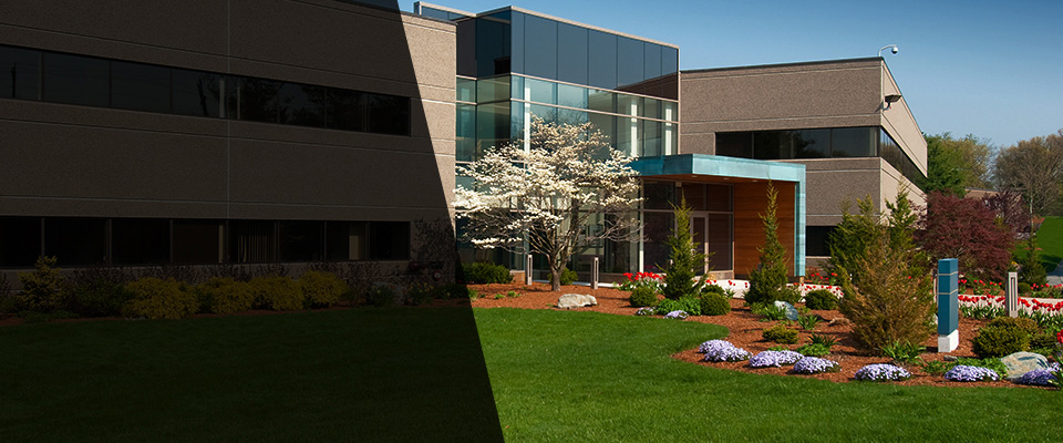 Mount Joy Landscapers