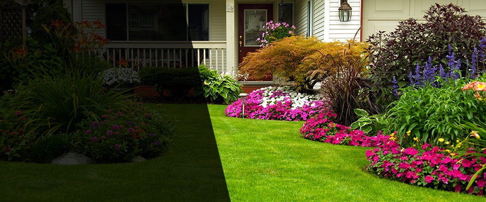 Mount Joy Landscapers