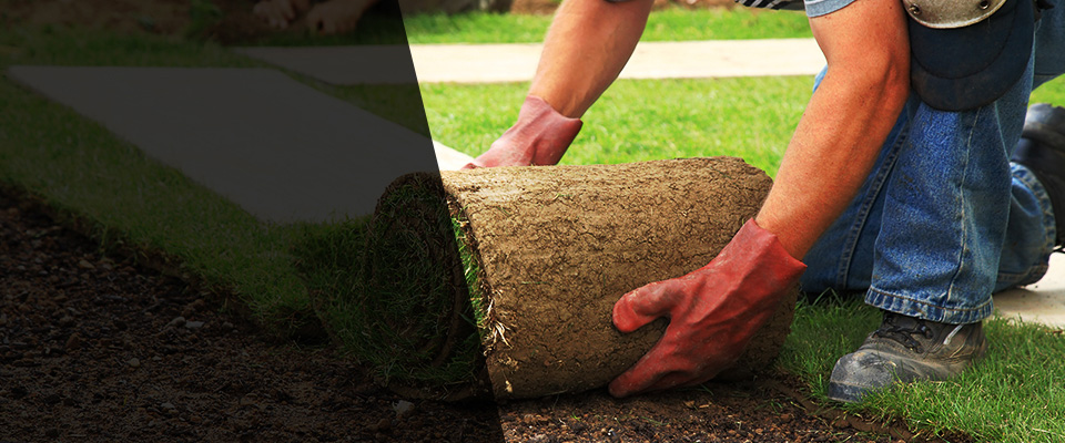 Mount Joy Landscapers